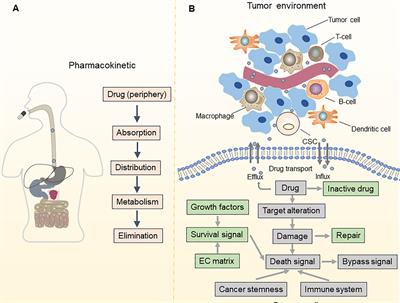 The Emerging Roles and Therapeutic Implications of Epigenetic Modifications in Ovarian Cancer